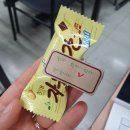 DEAR SOL 이미지