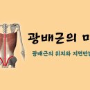 [ 마름모코어 시즌2-41 ] 화살표 형태로 지면반발력에 관여하는 광배근과 최적의 위치 이미지