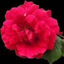 한마음콘도 이미지