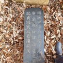 석담농장 Daum카페