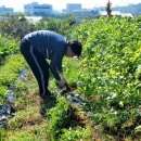 공북2리경로당 이미지