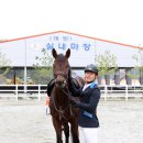 함안 승마장 이미지