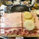 이박사 생종이오겹 네이버블로그