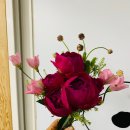 백송이꽃화원 | 강내면이벤트꽃 준비 어디서 하나요?