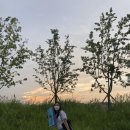 피크닉데이(picnic day)