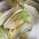 (12/15) 배추김치 담그기 이미지