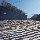 가평곤충농장 이미지