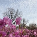 부천8경 포토존3 이미지