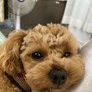 동해해물탕 송정점 이미지