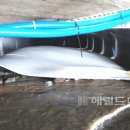 도동천 이미지
