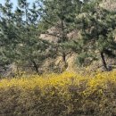 상오방2 이미지