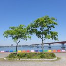 무지갯빛 이미지