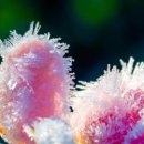 밀양시장애인복지관 이미지