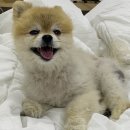 계양문화로 이미지