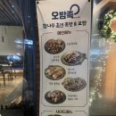 오밤족
