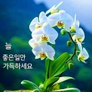 암실 이미지