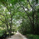 청소년수련관 야외화장실 이미지