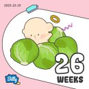 손바느질소품교실 | 임신 26주차~28주차 / 베이비페어 방문 , 재봉틀 태교와 바느질 , 강원도 고성 방문 , 밑미 예비엄마...