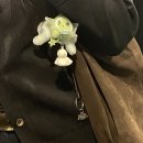 S.J워시 | 후쿠오카 남자 옷 쇼핑의 날 / 웨어하우스, 리얼맥코이, 스마트클로딩, 타임원클로딩