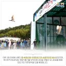 다시 보는 2021 제3회 우포따오기 야생방사 현장