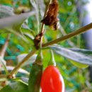 답십리공원 이미지