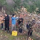 강구면사무소 이미지