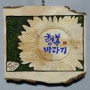 행복바라기