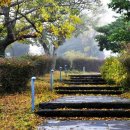 어뮤즈 호텔 이미지