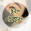 모벨라 mobella | 동래 속눈썹 펌 후기 미남역 모벨라 대만족