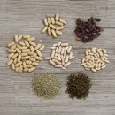 신진 전위 | 감비환부작용 겪어보니... 불면증, 두근거림 해결한 현실 꿀팁 3가지