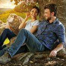 재운농장 | 넷플릭스 퍼펙트 페어링 후기: 퇴사 후 불안을 잠재운 호주의 햇살과 와인 한 잔 (서론, 줄거리, 감상...