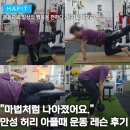 네발라이프 | 을지로 PT "마법처럼 나아졌어요." 만성 허리 아플 때 재활 운동 피티 레슨 후기.