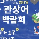 경기관상어 이미지