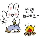 정선정보공업고등학교 이미지