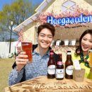 맥주한잔 이미지