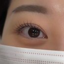 모을 | 송파 속눈썹펌 잘하는곳 스튜디오모을 후기 - 지속력 좋은 자연스러운 뷰러펌