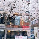 꼬치라 | 혼신꼬치 본점 l 홍대 야장 맛집 후기