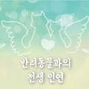 반려인연