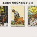 주식회사 제제컴즈 이미지