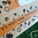 윤이 농장 | 귤 효능과 귤 제철 극조생 제주 노지감귤 서귀포귤 올바른푸드 후기