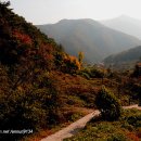 나의살던고향은 이미지