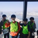 용인대 백두산 태권도 이미지