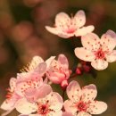 별님캔들 이미지