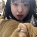 꿀벅지단란주점