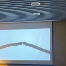 피플인디자인 | [강연] 한국타이포그라피학회 - 타이포그래피 지금 2025 후기록