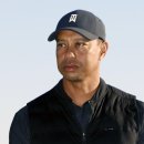 황제레스 이미지