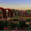 곡성-061 이미지