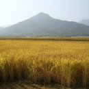 수북농협주유소 이미지