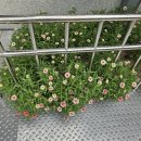 오늘 하루 운동 체력단련실 이미지