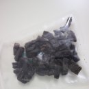 펫 로드스타 컴퍼니 이미지